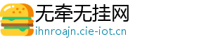 无牵无挂网